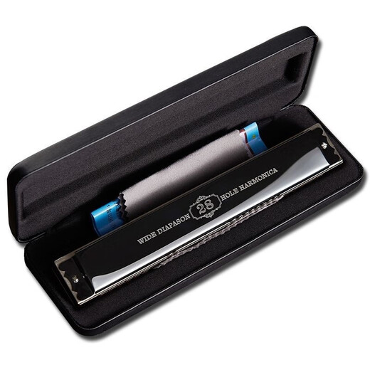 天鹅德国进口音簧28孔复音口琴高端成人重音送礼品专业演奏级乐器 金色复音C调