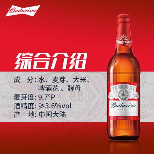 百威拉格啤酒经典600ml*12瓶啤酒整箱装 