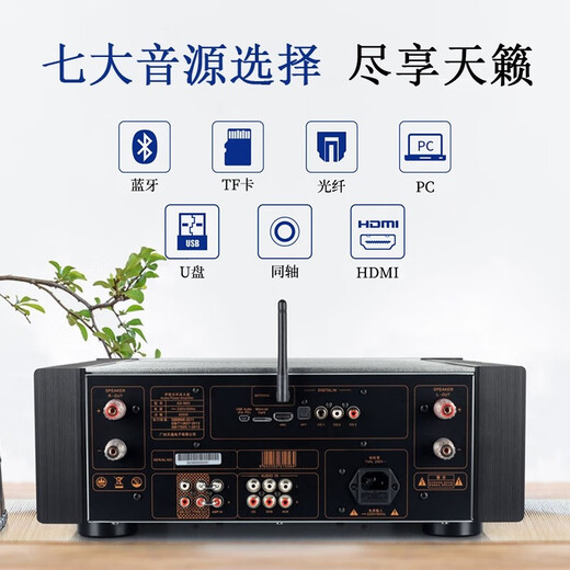 天逸（Winner）AD-86D超甲类功放机 家用合并式高保真立体声蓝牙放大器大功率多功能数字功放 天逸AD-86D