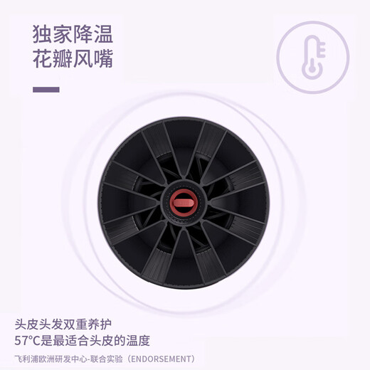 Philips (PHILIPS) hair dryer household hair dryer constant temperature nozzle hair care high-power quick-drying dryer surging air volume foldable body shiny and smooth air intake safety design birthday gift negative ion hair care BHD378