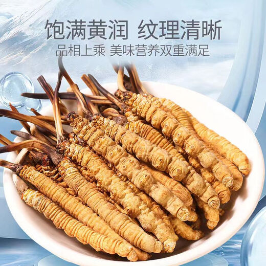 Wazang genuino Cordyceps Cordyceps Box en futuros de cabeza Cordyceps Cordyceps Cordyceps Altitud 5 raíces/g 1 gramo