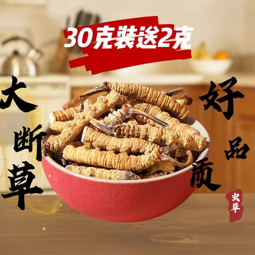 Cordyceps sinensis Snow Mountain Natural Cordyceps Sinensis große gebrochene Cordyceps Sinensis essen großes gebrochenes Gras und erschwingliche Suppe und kauen 50 Gramm Cordyceps sinensis großes gebrochenes Gras (56 Gramm Pack)