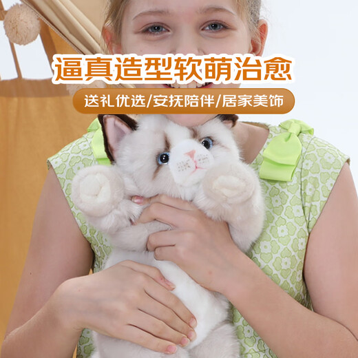 Cometa trapo Ragdoll Cat Plush Toy Doll Doll Doll Adornos almohada Valentín de San Valentín Regalos de curación para novia