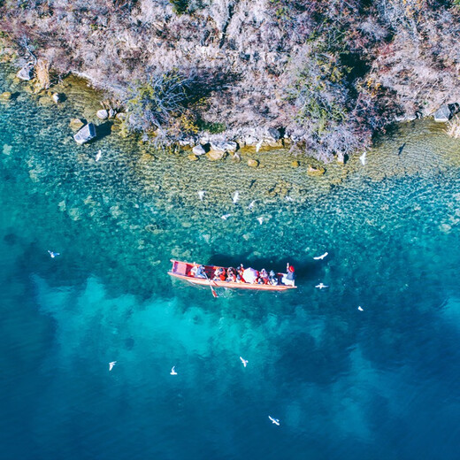 Preferred partner for air ticket blind box Yunnan travel Kunming Dali Lijiang Lugu Lake 8-day 7-night tour Stone Forest Jade Dragon Snow Mountain Erhai Lake Ring Domestic Tour for two persons Kunming Dali Lijiang Lugu Lake 8-day tour Adult