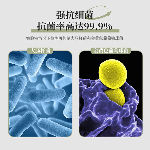 Bear rice bucket kitchen sealed moisture-proof grain storage box insect-proof rice tank rice storage box can store 10Jin Jin is equal to 0.5kg CX-W0062