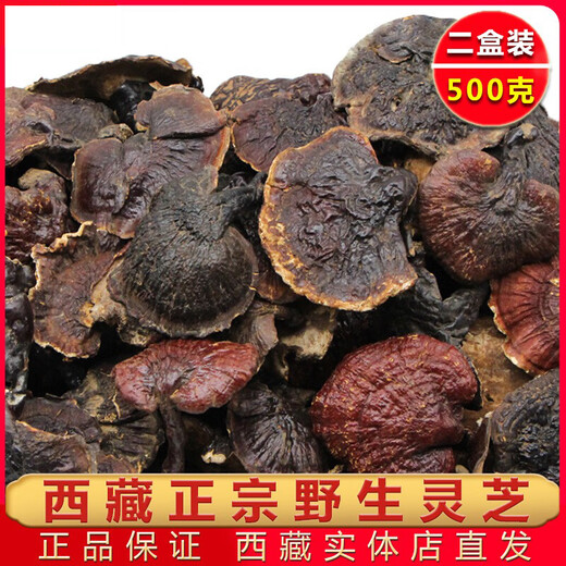 元族纯野生灵芝西藏正品干货林芝赤芝金边非孢子粉片礼盒装整枝500g克 灵芝1斤+30年以上桑黄700克以上