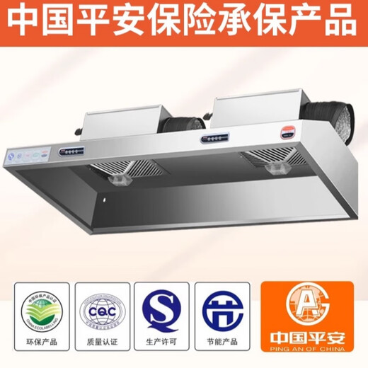 首派好太太商用抽油烟机不锈钢饭店家用厨房净化器排烟罩农村柴火土灶大吸力 100*80*50cm单风机880瓦