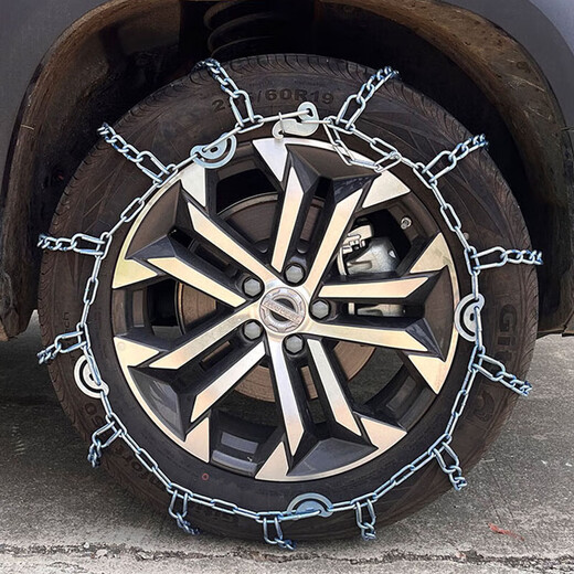 Oracle Cheetah CS10/CT7/Q6/C5EV/CS6 Feiyang CT5 Qiling CS9 Automotive Standard Bolding Tires CS9215/55 R18 Standard Bolding Two