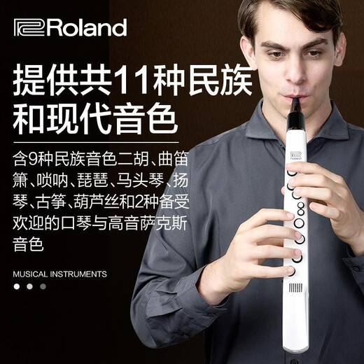 Xianhuaida Authentische japanische Marke Roland AE-01 Electric Hair Tube Old Man Elektrische Saxophon Elektronische Instrument Erhu AE0 Roland AE-01c Nationaler Version (Paket sechs)