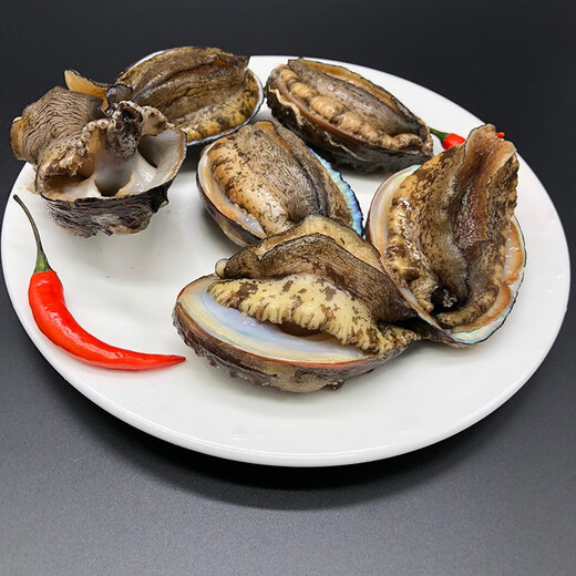 
Gift box/[Spot] Shen Zhixiong Fujian Dongshan Island Sea Catching Seafood Gift Box New Year’s Eve Dinner Gift Box 689 Gift Pack Seafood Net Weight 2700g