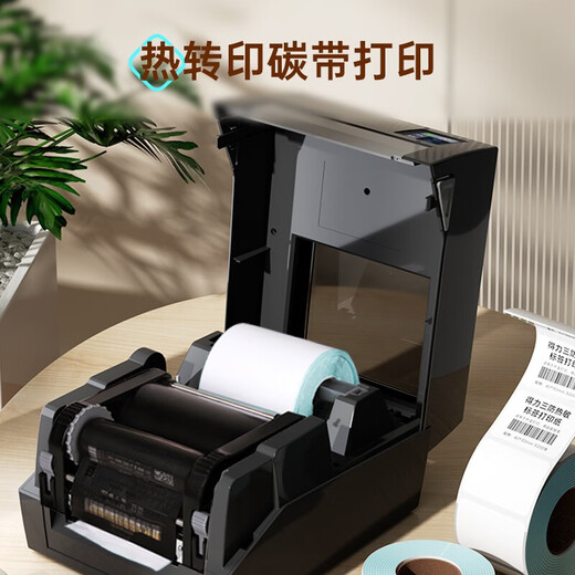 得力（deli）300dpi标签打印机热转印碳带打印机打热敏不干胶条码铜版纸亚银纸标签机快递面单水洗标服装吊牌 【825T】4寸_高速_超清款300dpi