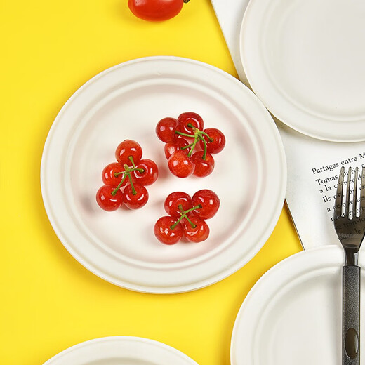 Temeiju disposable paper plate cake plate outdoor picnic camping meal plate sugarcane pulp plate waterproof, oil-proof, environmentally friendly and biodegradable round pulp plate 10 inches 26cm*30 pieces