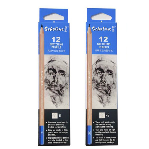 Scholine Log Drawing Pencil Professional Drawing Pen 12 piezas/caja HB 9901