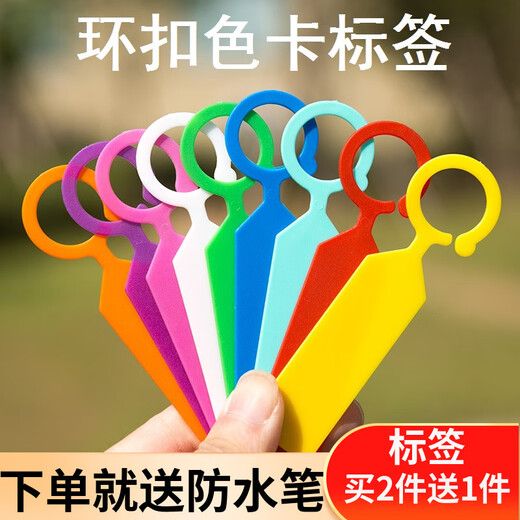 Shipton ring label thickened plastic waterproof plant mark classification color card hanging mark grape seedlings flowers HX cyan 100 pieces