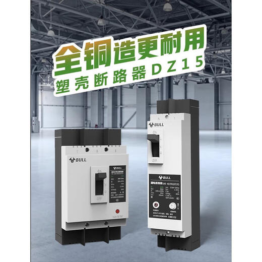 Bull Bulldz15le circuit breaker 49012901 plastic case three-phase four-wire leakage protection switch 100a3 100A 2P