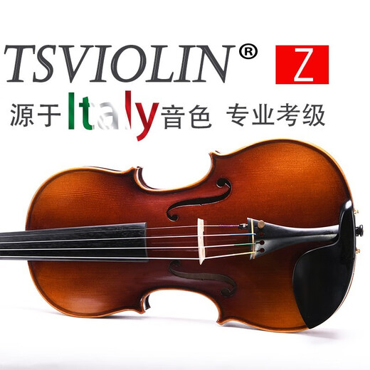 台氏TV880专业考级进口欧料独奏演奏小提琴纯手工制作小提琴全配 4/4【深咖色】适合身高155-220cm