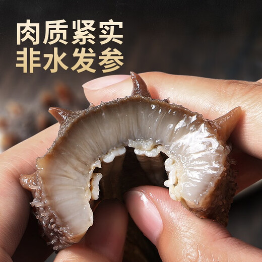 Dongshang Yupin Sea Cucumber Ready-to-Eat Dalian Fresh Wild Liao Sea Cucumber Solid 75% Seafood Gift Box Single New Year Goods 500g 16-19 Pieces/Jin Jin is equal to 0.5 kg
