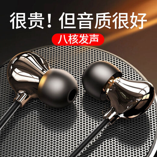 铂典（POLVCDG） type-c耳机有线入耳式游戏耳机降噪睡眠运动适用于小米vivo华为OPPO 陶瓷耳机【Type-C极光黑】