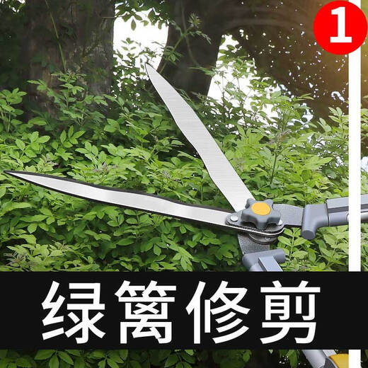 Gardening scissors, garden flower shears, pruning shears, special hedge shears for lawn trimming, powerful trimming of branches ZP9, orange flat tube