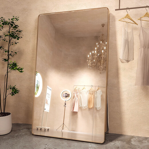 Shuhao Dressing Mirror Ganzkörperspiegel Schönheit Home Cloding Store Spezialanpassender Spiegel für Mädchen Schlafzimmer, Schlanker und hoher Bodenspiegel, super großes Sichtfeld Aluminiumlegierung Rahmen 80*180 HD Schwarz