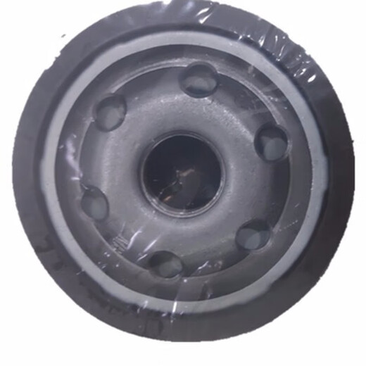 Phoenix oil filter element 12004 Buick GL8 Regal LaCrosse Opel Chevrolet Lefeng Sai Olepin 12004
