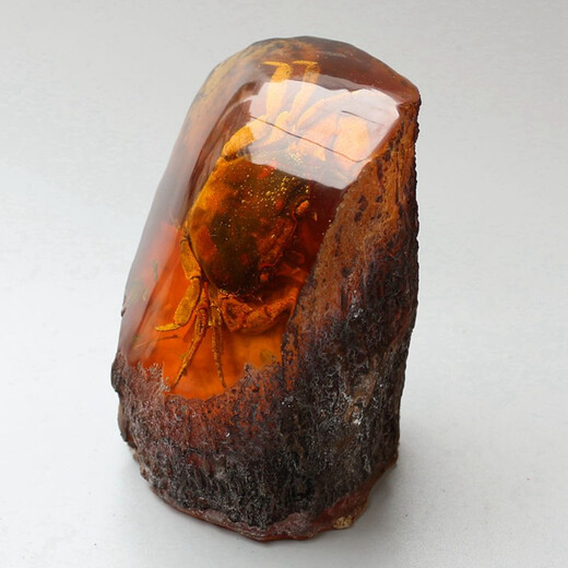 Swiss artificial amber crab specimen resin crafts real insect animal raw stone fossil insect amber ornaments picture color