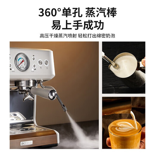柏翠（petrus）意式咖啡机家商用全半自动研磨一体机小型浓缩奶泡机双泵双炉 PE3899 节日礼物 PE3899咖啡机+制冰机套装