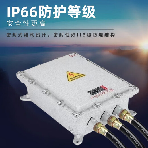 Explosion-proof distribution box, power lighting control box, explosion-proof junction box, operating column, circuit breaker, instrument operating box, custom-made. There is an additional charge for opening holes. Please consult.