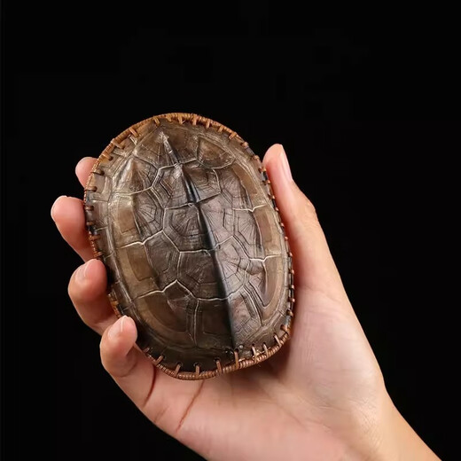 Zixiangtang Natural Turtle Shell Fu Jia Yifang Tea Chinese Bamboo Weaving Appreciation Tea Lotus Tea Set Tea Ceremony Accessories Wake Up Teaspoon Teaspoon