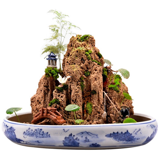 Shiguang Station absorbent stone natural stone bonsai fish tank courtyard large fish pond landscaping absorbent stone original stone water stone bonsai 15-19cm absorbent stone does not include basin