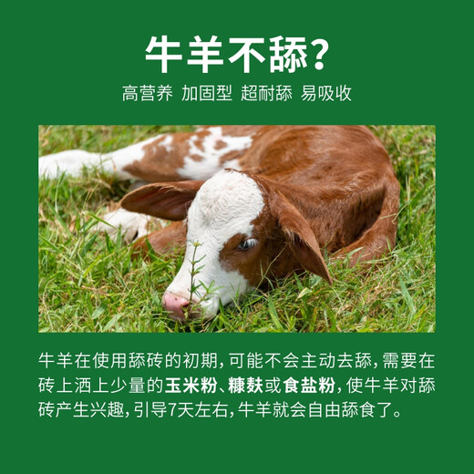 Baiyun Mugang Cattle and Sheep Licking Bricks Salt Bricks for Cattle and Sheep Nutritional Trace Elements Reinforced Mineral Feed Additives Pica and Stomach Compound Licking Bricks 2 boxes (a total of 80Jin Jin is equal to 0.5kg)