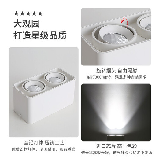 大观园（DGY）明装筒灯智能主卧室无主灯斗胆灯防眩LED格栅灯中山灯具429O 9853-四头-白色-普瑞40W-暖光