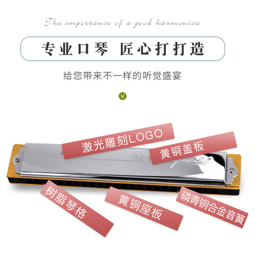 Tombo (Tombo) Japanische 24-Loch-Polyphonische Mundhonica 6624s ältere Anfänger für Kinder, die sich selbst lernt, Harmonica 24-Loch-Set Major 12+Geben 12 große Taschen (bei der Begleitung u Festplatte)