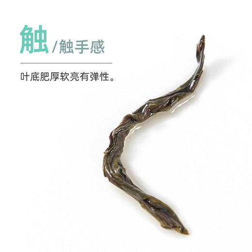 卢正浩茶叶 乌龙茶 正宗武夷特级岩茶大红袍口粮茶叶自己喝100g
