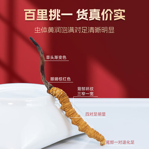 冬虫夏草 藏区头期虫草特大冬虫夏草王无断草礼盒装送礼佳品 50根礼盒装钻石级虫草2根/克