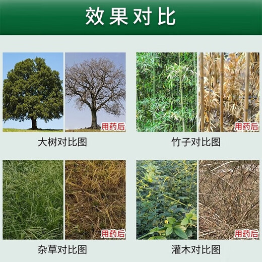 Special medicine for eradicating large trees. Powerful medicine for eradicating large trees. Powerful medicine for eradicating large trees. Powerful medicine for eradicating large trees. One drop of special medicine for eradicating large trees. One pack. Powerful tree eradication 500g. 1 pack.