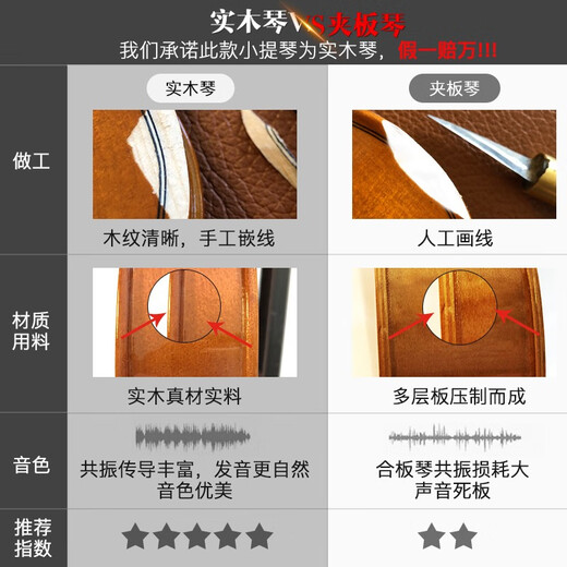 台氏TV880专业考级进口欧料独奏演奏小提琴纯手工制作小提琴全配 4/4【深咖色】适合身高155-220cm