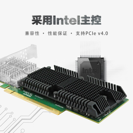 LR-LINK 联瑞IntelE810主控QSFP28双口100G光纤服务器网卡PCIe4.0x16 100G双口光纤网卡（不含模块）