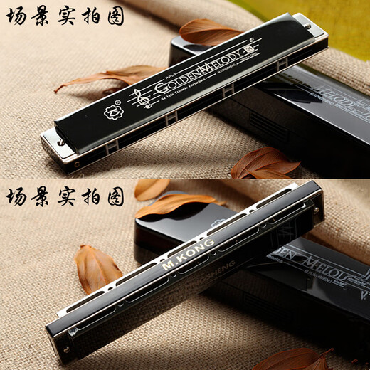 Hokong Sound Harmonic 24 Hokong Polyphonische #A/B/C/D/E/F/G Tunnel Harmonic für Anfänger professionelle Leistungsstufe #C Tunnel