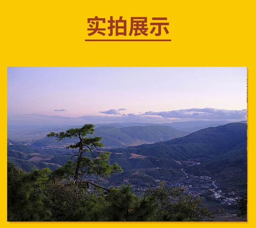 【多期单本】三联生活周刊杂志2025年07月29期总第1348期新 另有2024年往期可选 新闻期刊K 【现货】25年14期【人形机器人】