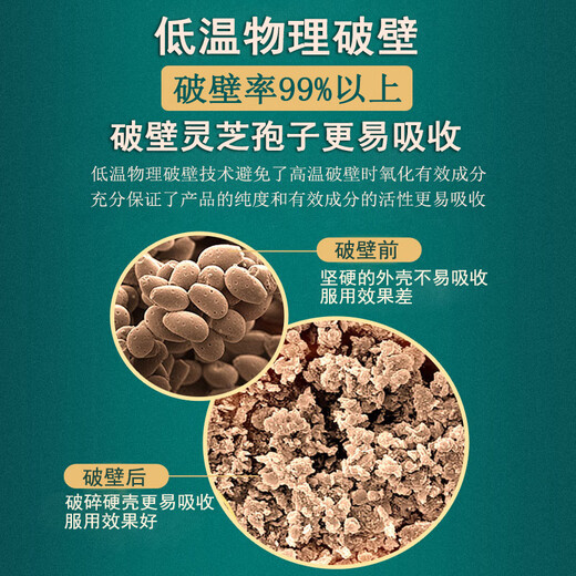 秦鼎泰破壁灵芝孢子粉长白山头道林芝袍子粉提高中老年体质增强免疫力 破壁灵芝孢子粉100克【买3送1 买5送2】