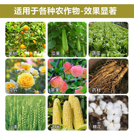 拉坶赛矿源黄腐酸钾 腐殖酸生根调节土壤酸碱水溶肥蔬菜果树药材花卉 矿源黄腐酸钾1000g*10袋