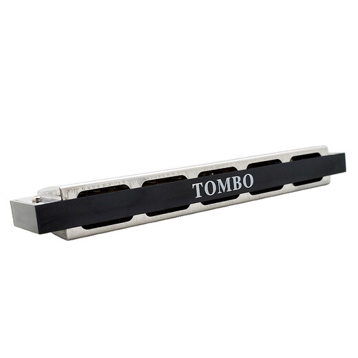 通宝（TOMBO）进口音簧 HOPE系列21孔入门演奏复音口琴多种调可选 6621 21孔大调 F调