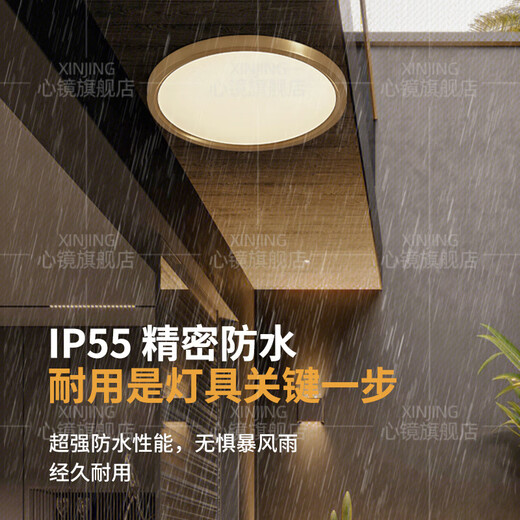 
Heart mirror full copper outdoor ceiling light villa gate ultra-thin front light outdoor aisle balcony lamp anti-mosquito courtyard light X3893-600/square