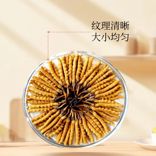 Boîte-cadeau Cordyceps pour les anciens Boîte-cadeau Cordyceps pour les aînés Boîte-cadeau Cordyceps pour les anciens