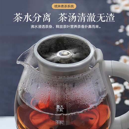 Bear Tea Maker Spray Type Tea Maker Health Pot Thickened Glass Black Tea Office Tea Steamer Small Tea Stove Mini Electric Kettle Insulation Integrated 0.8L ZCQ-A08H2 Glass Panel 0.8L