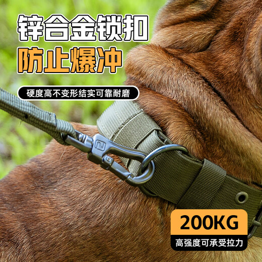 Outstanding Dog Collar Large Dog Dog Leash Medium Dog Dog Collar German Shepherd Labrador Golden Retriever Pet Collar Collar + Leash/Brown XL Code/85-120Jin Jin is equal to 0.5 kg within