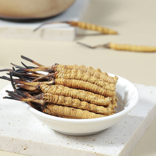 Yuanjiang grass Cordyceps sinensis high-altitude new dried cordyceps gift box delivery to leaders and elders 3 pieces/g 5 grams [source warming and supplement]