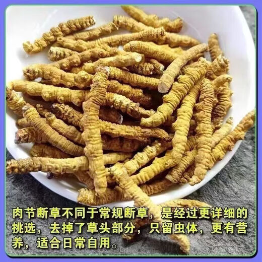 北京同仁堂【黑色星期五】冬虫夏草断虫草断草甘孜非曲滋补养生佳品 - 28克[送人参]