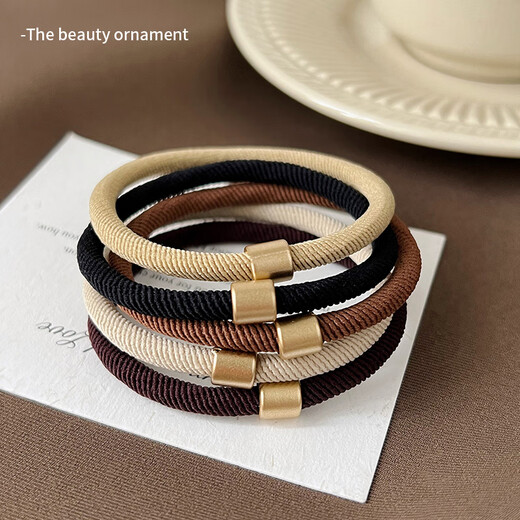 Danqin high ponytail hair rope for girls 2025 new style rubber band to tie hair, high elasticity and durable hair ring, adult hair rope leather case, old money style hair rope (10 mixed colors)